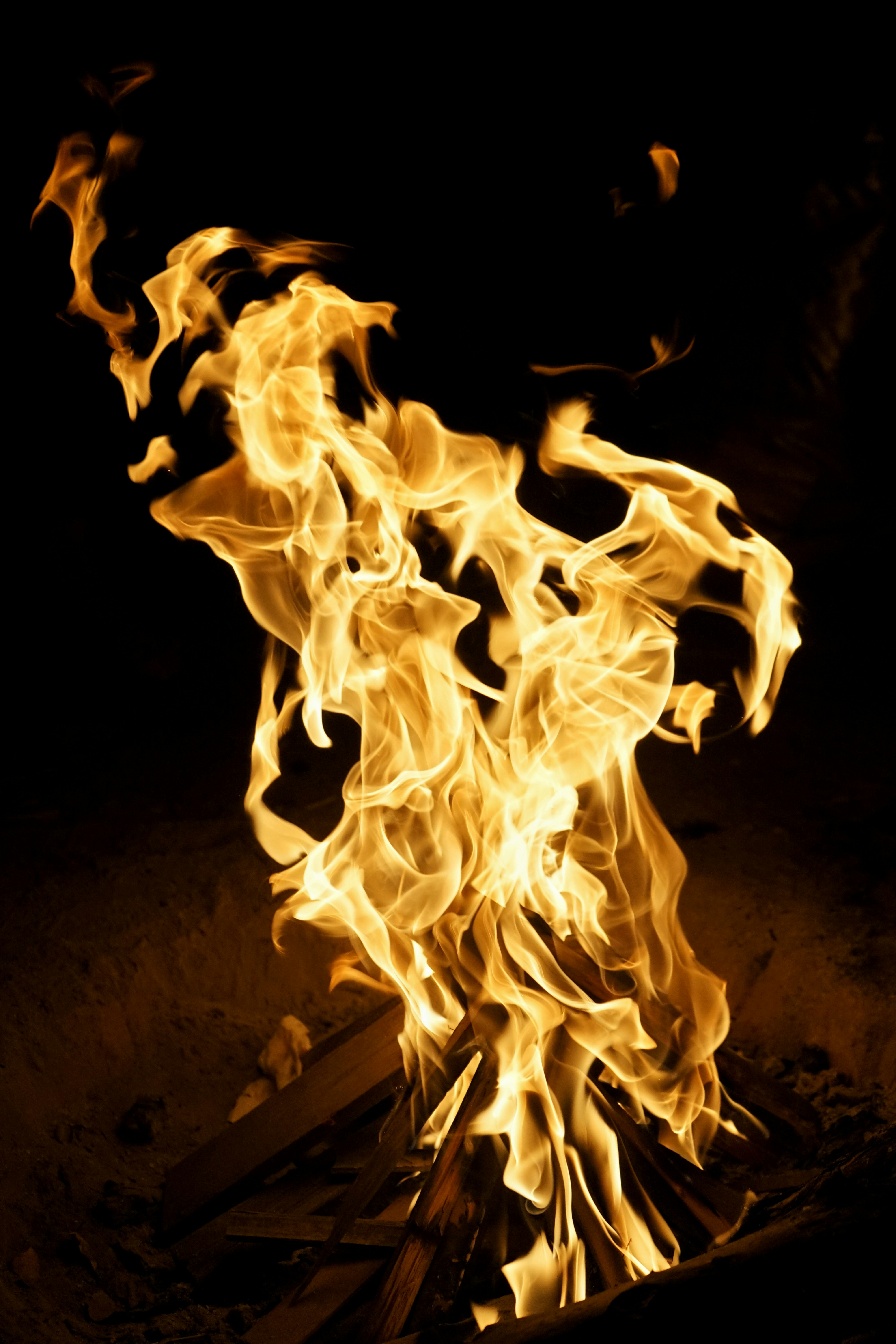 Photo by judahwester