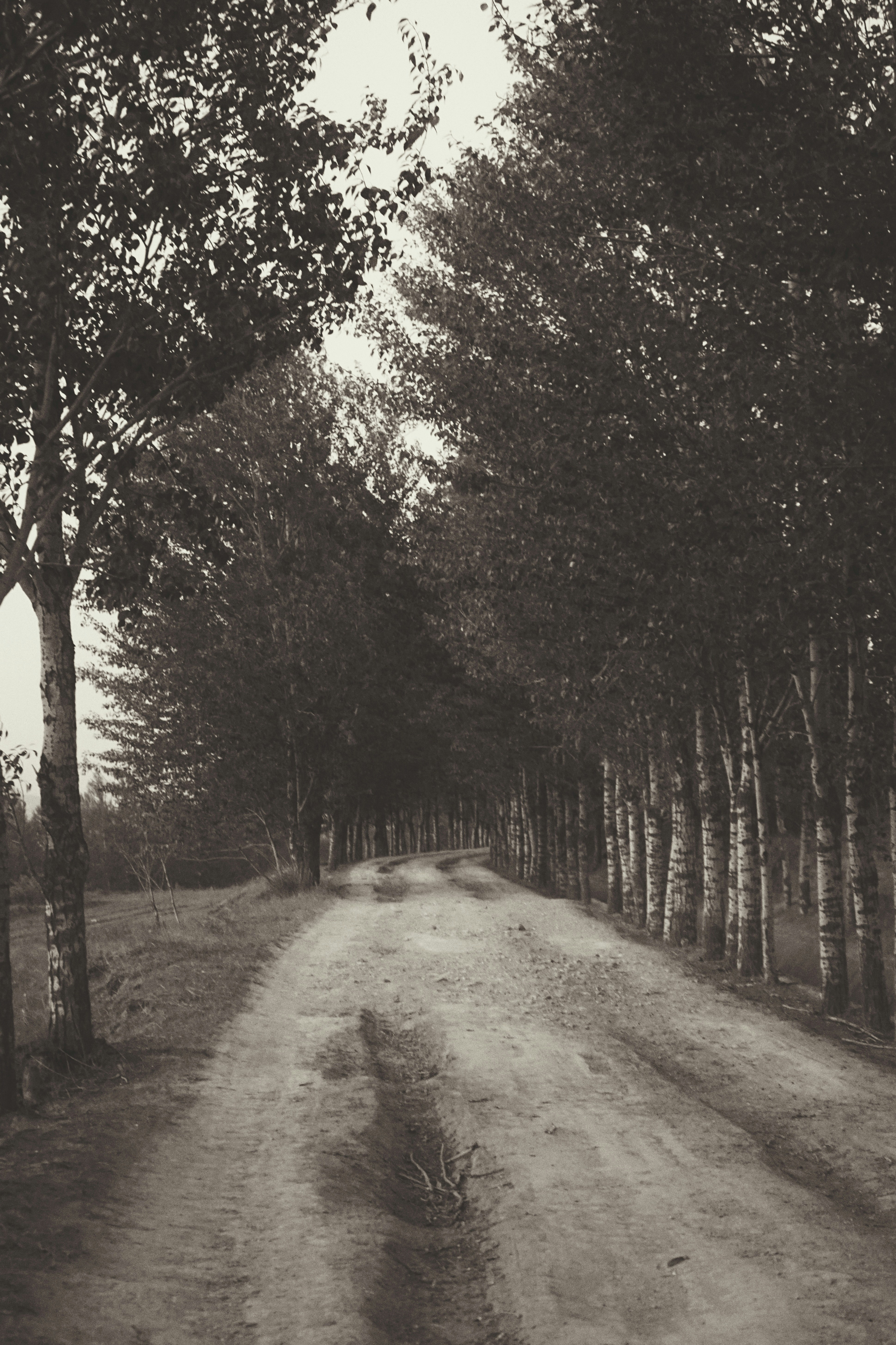 Photo by judahwester