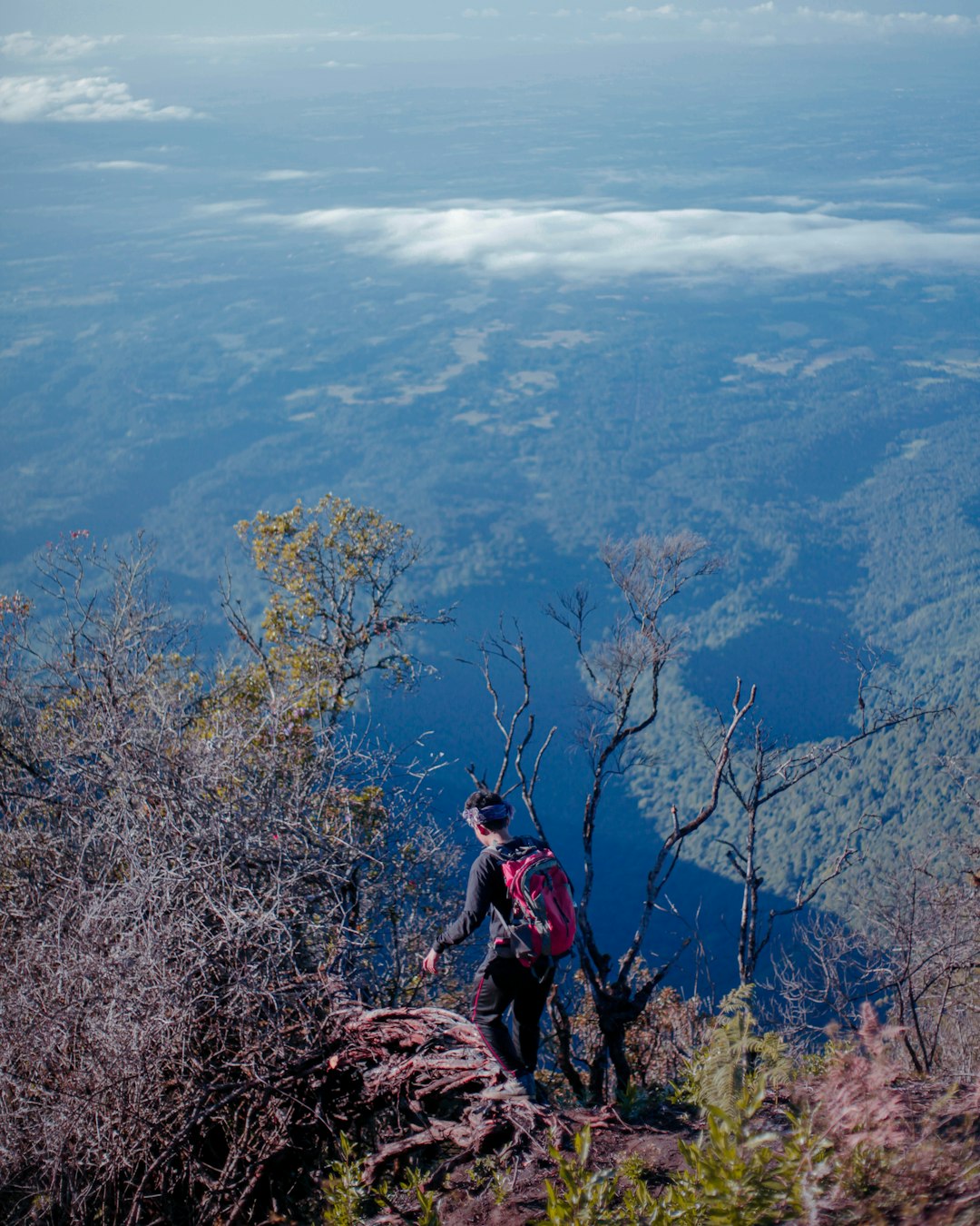 Mountain photo spot Gunung Batukaru Banyuwangi