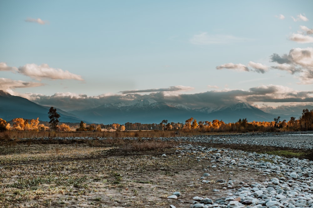 a rocky beach with a town in the distance