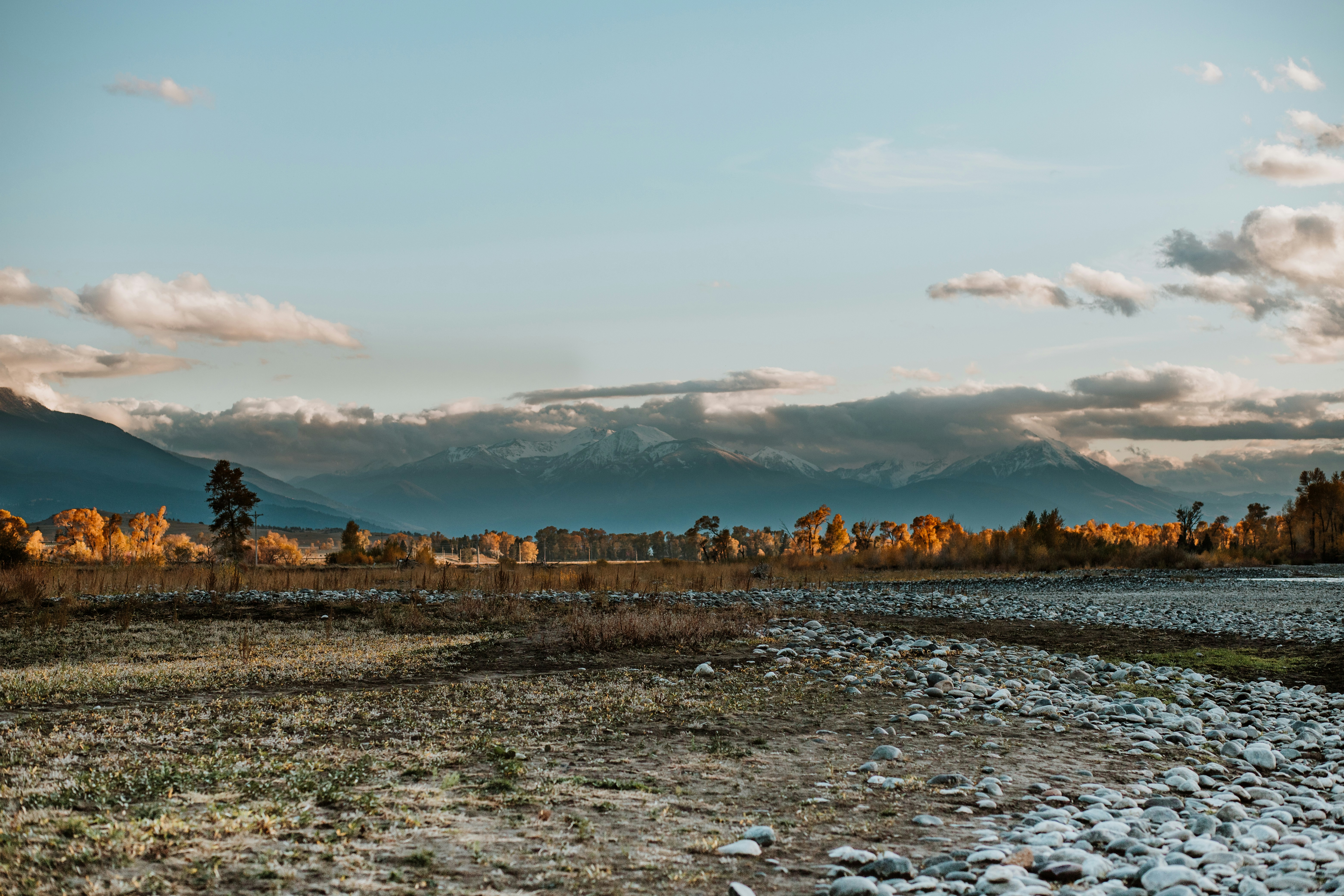 a rocky beach with a town in the distance