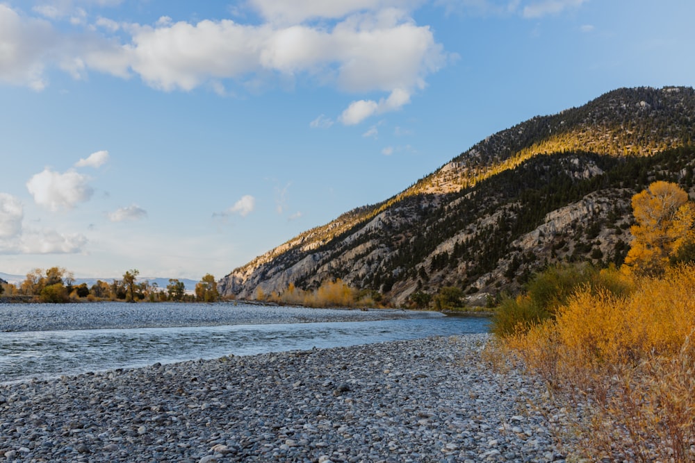 a river running through a rocky area