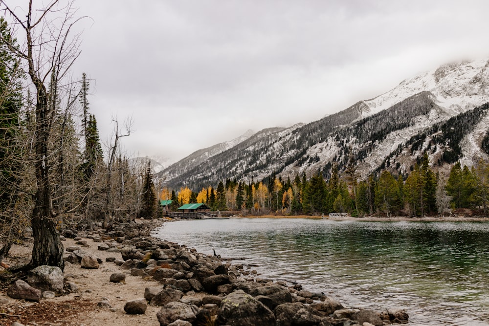 a lake with trees and mountains in the background