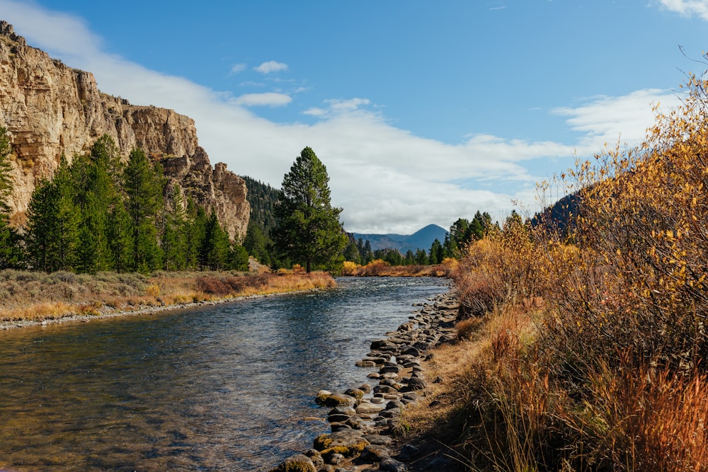 a river with trees and mountains in the background