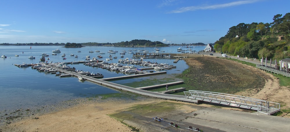 a body of water with boats in it and trees around it