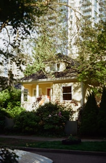 a house with trees around it
