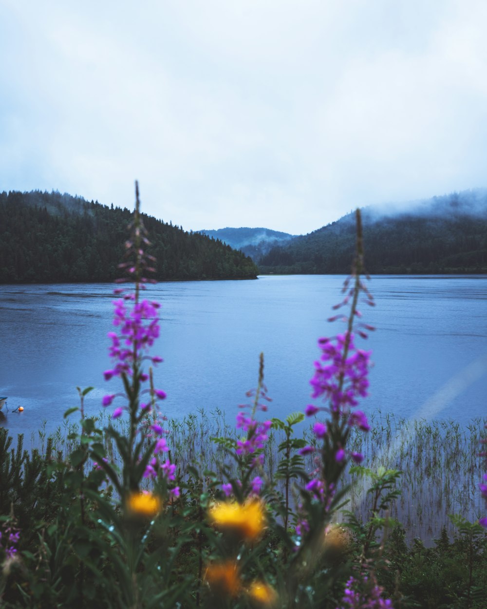 a body of water with flowers and trees around it