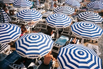 people sitting under umbrellas