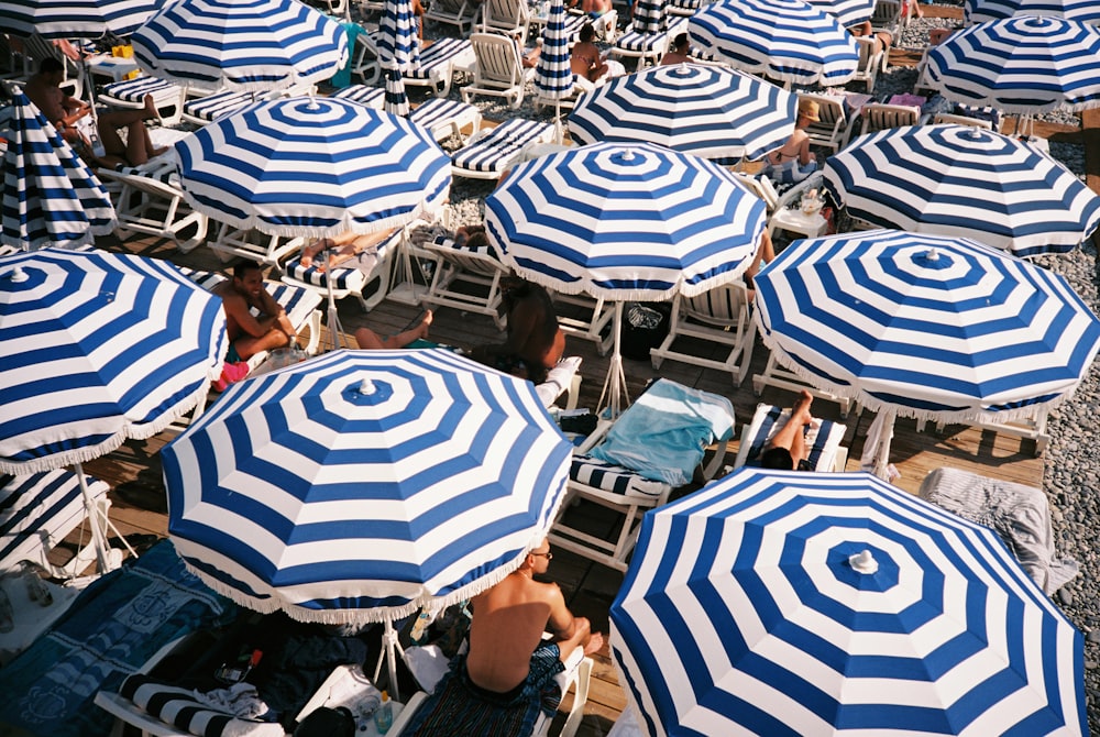 people sitting under umbrellas