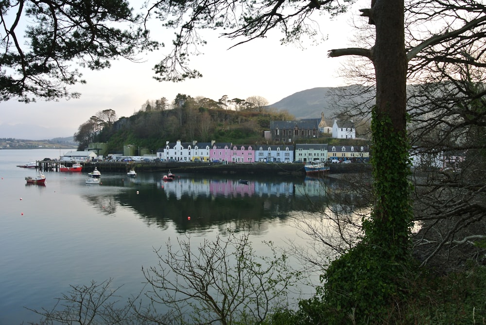 a body of water with boats and buildings along it