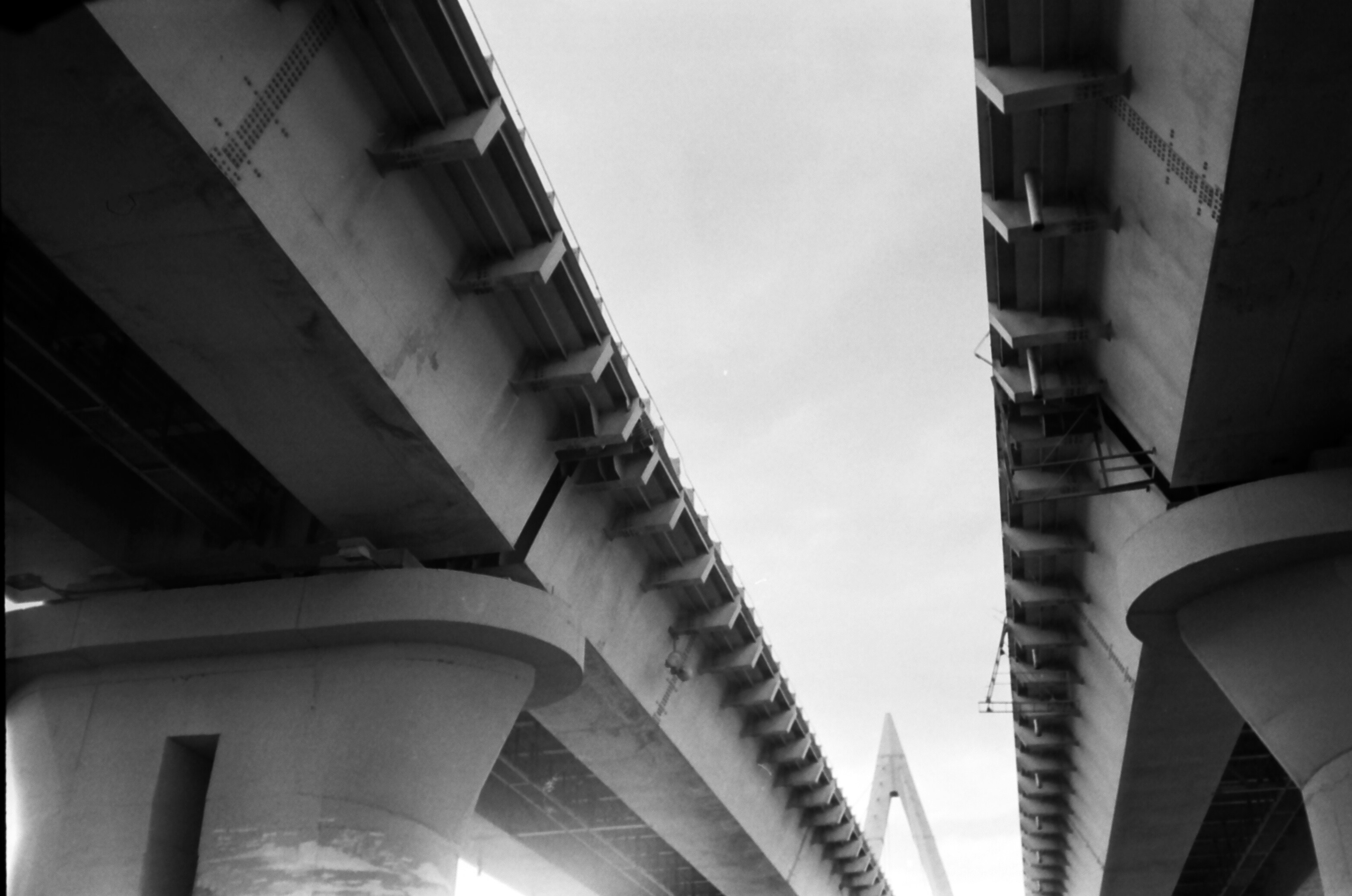 Photo by almazgalimov