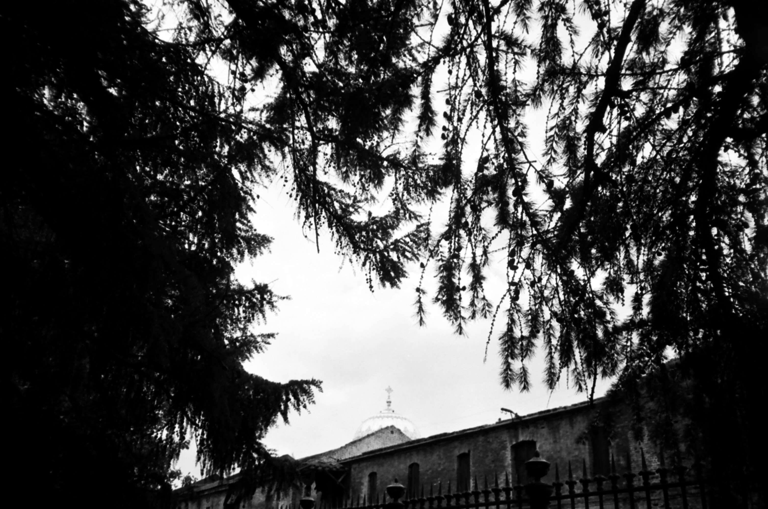 Photo by almazgalimov