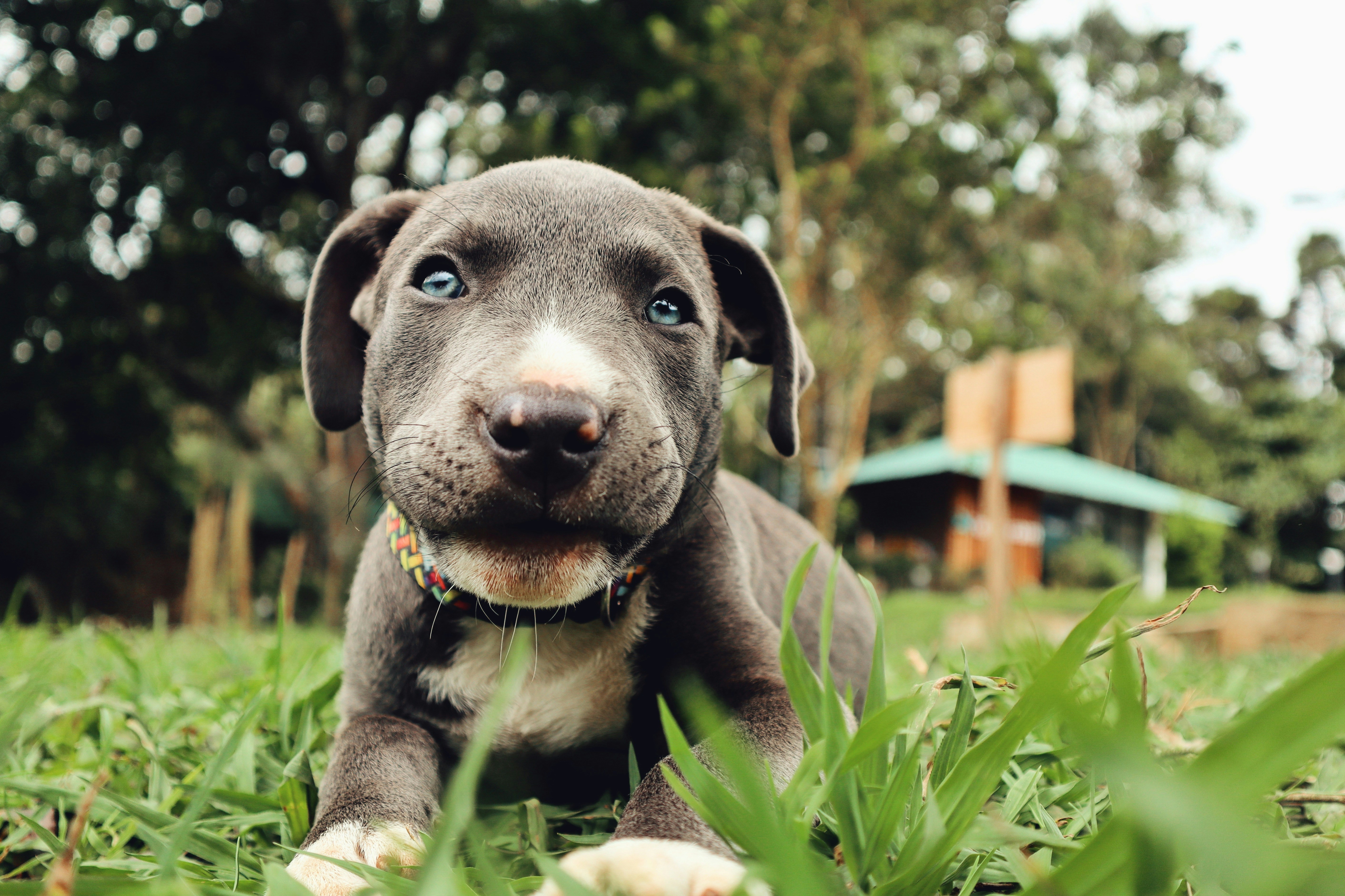 Photo by vpphotographers