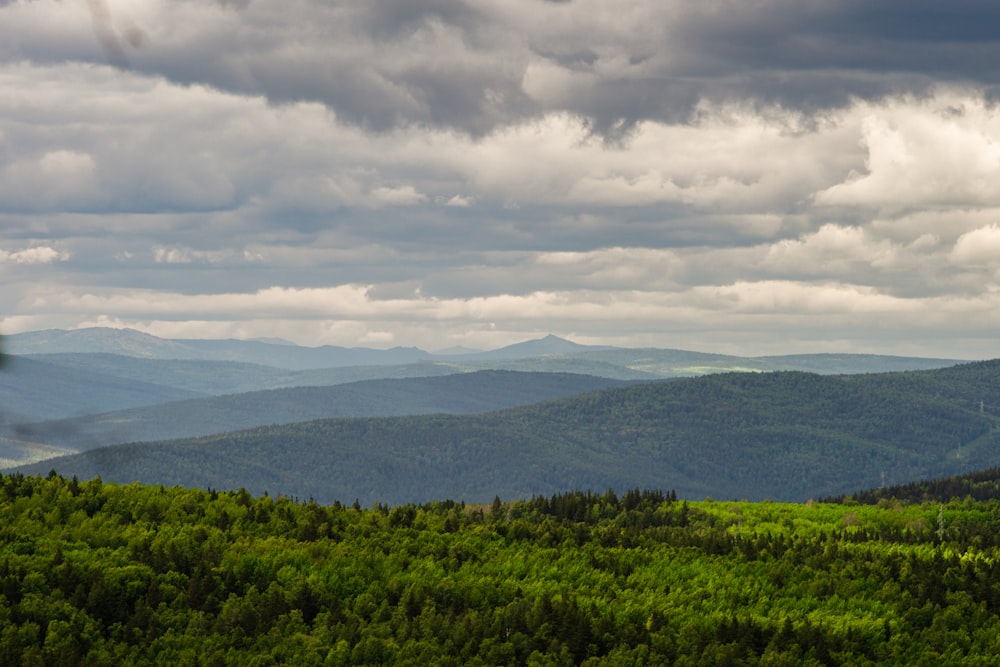 a landscape with trees and mountains in the background