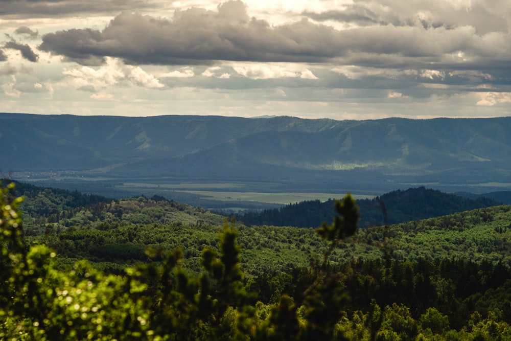 a landscape with trees and hills in the back