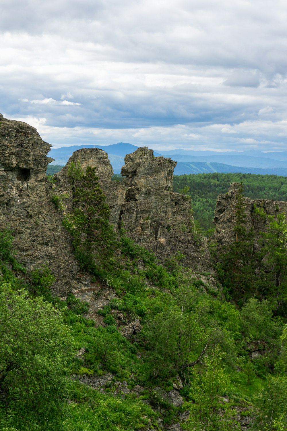 a rocky cliff with trees and bushes