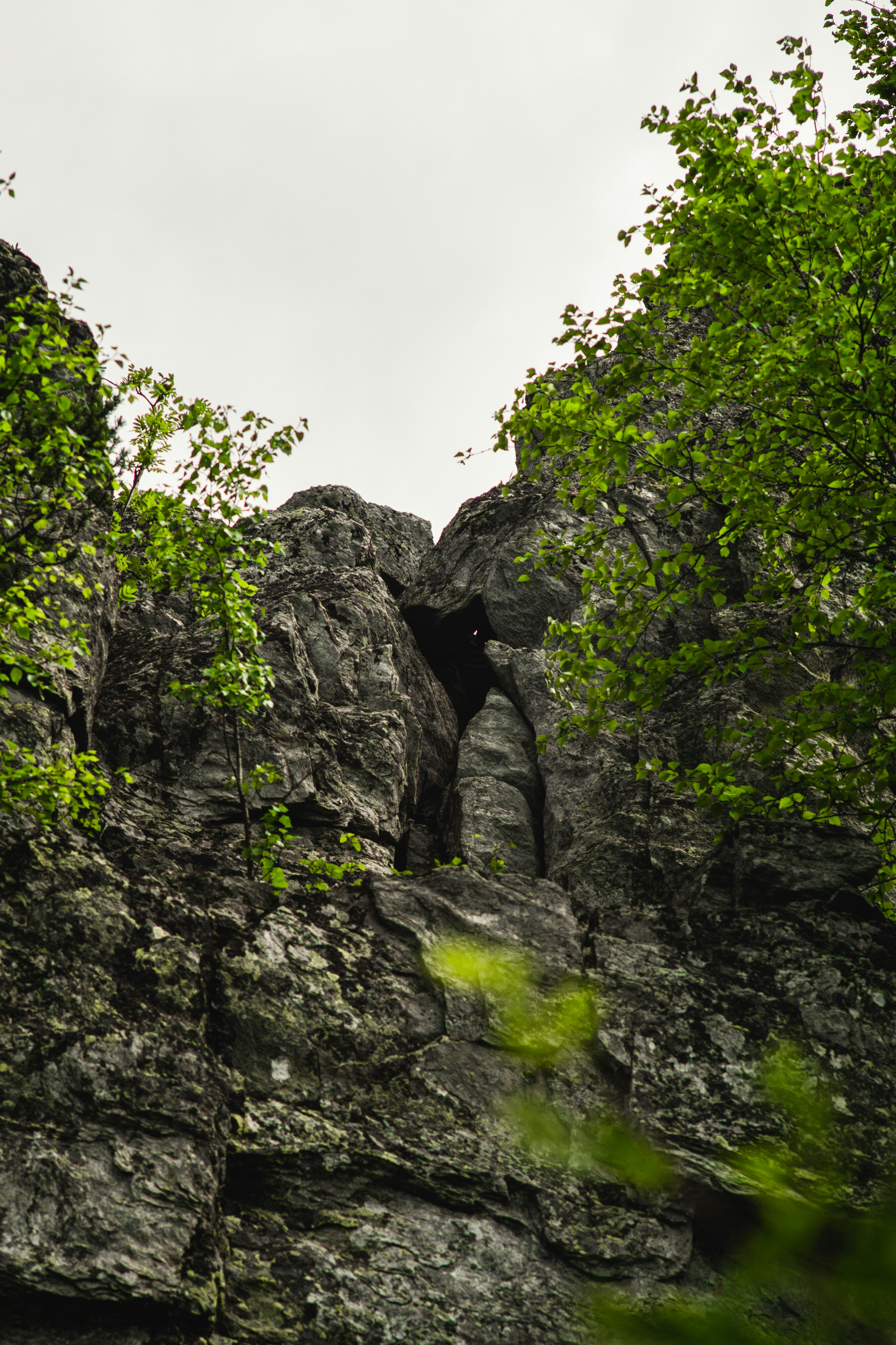 um penhasco rochoso com árvores sobre ele