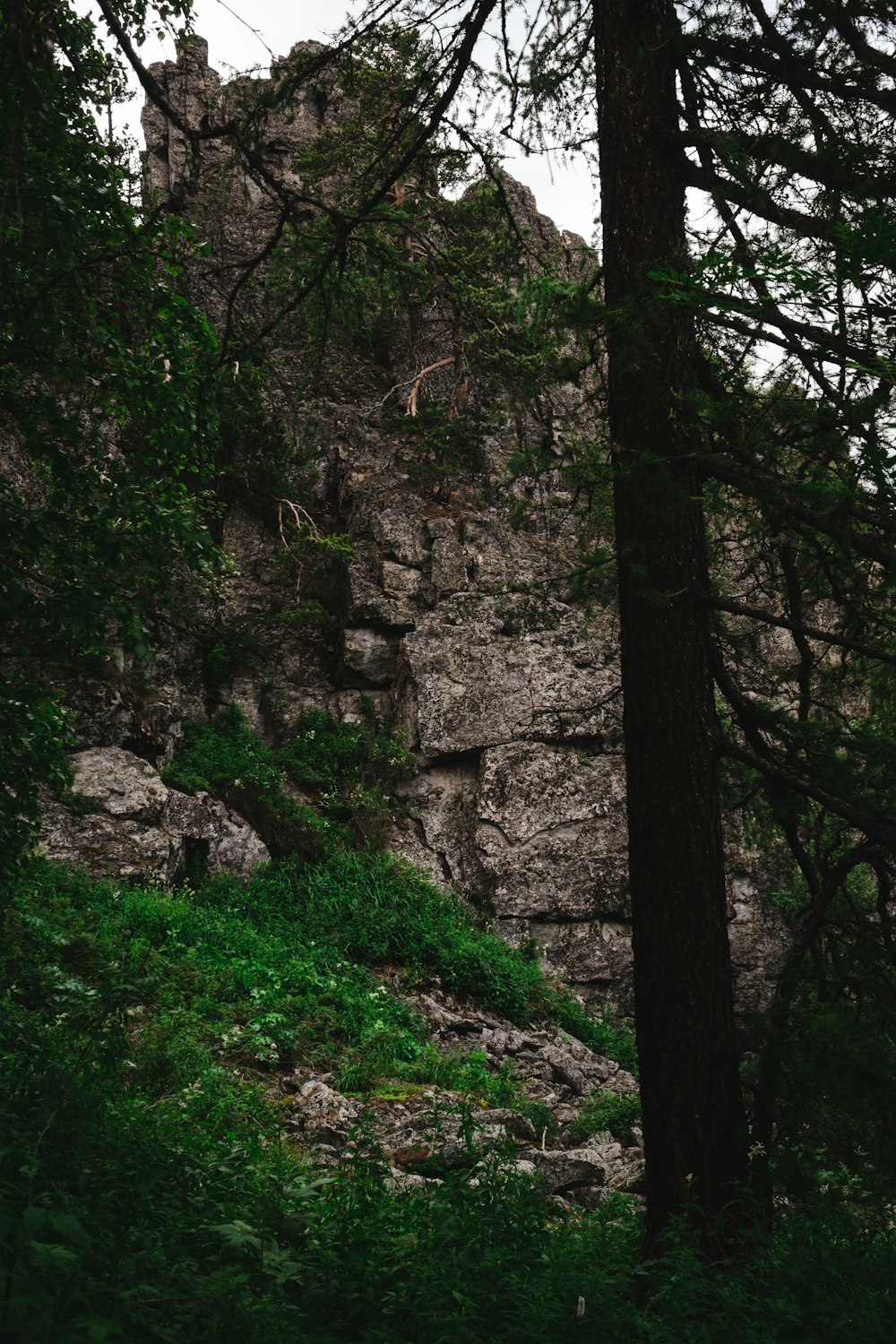 a rocky cliff with trees on the side