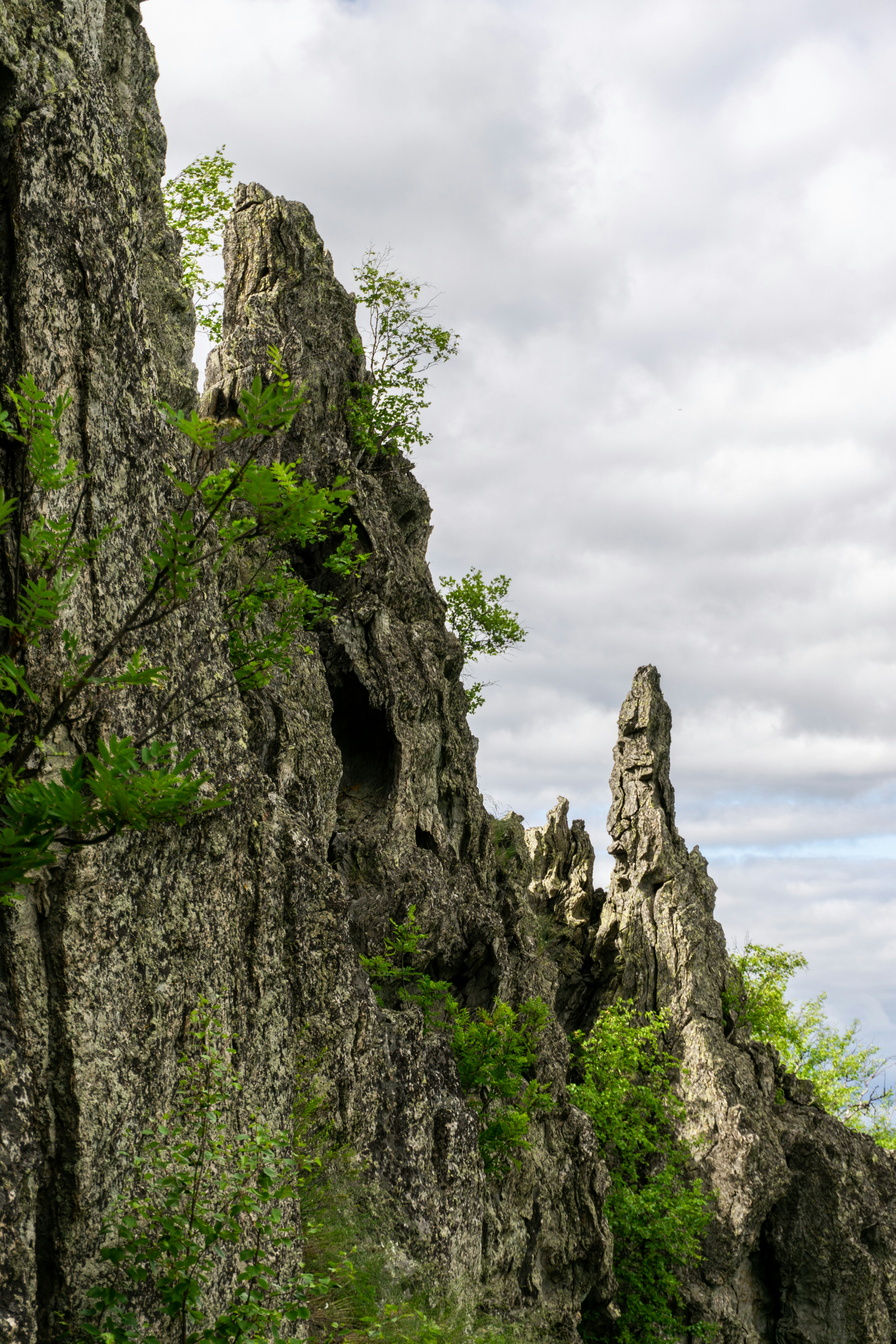 um penhasco rochoso com árvores sobre ele