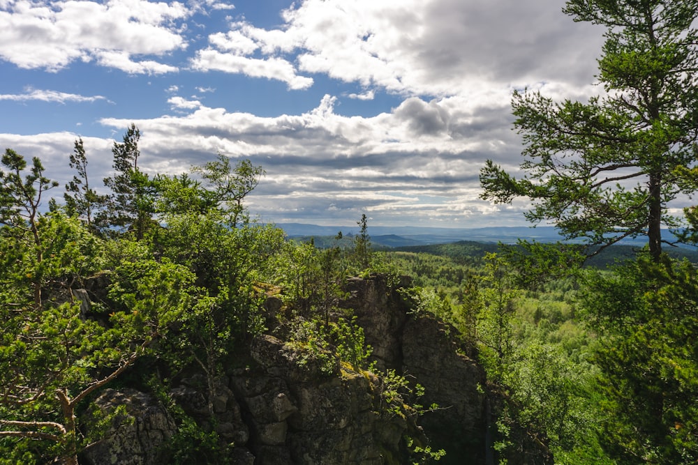 a rocky cliff with trees on it