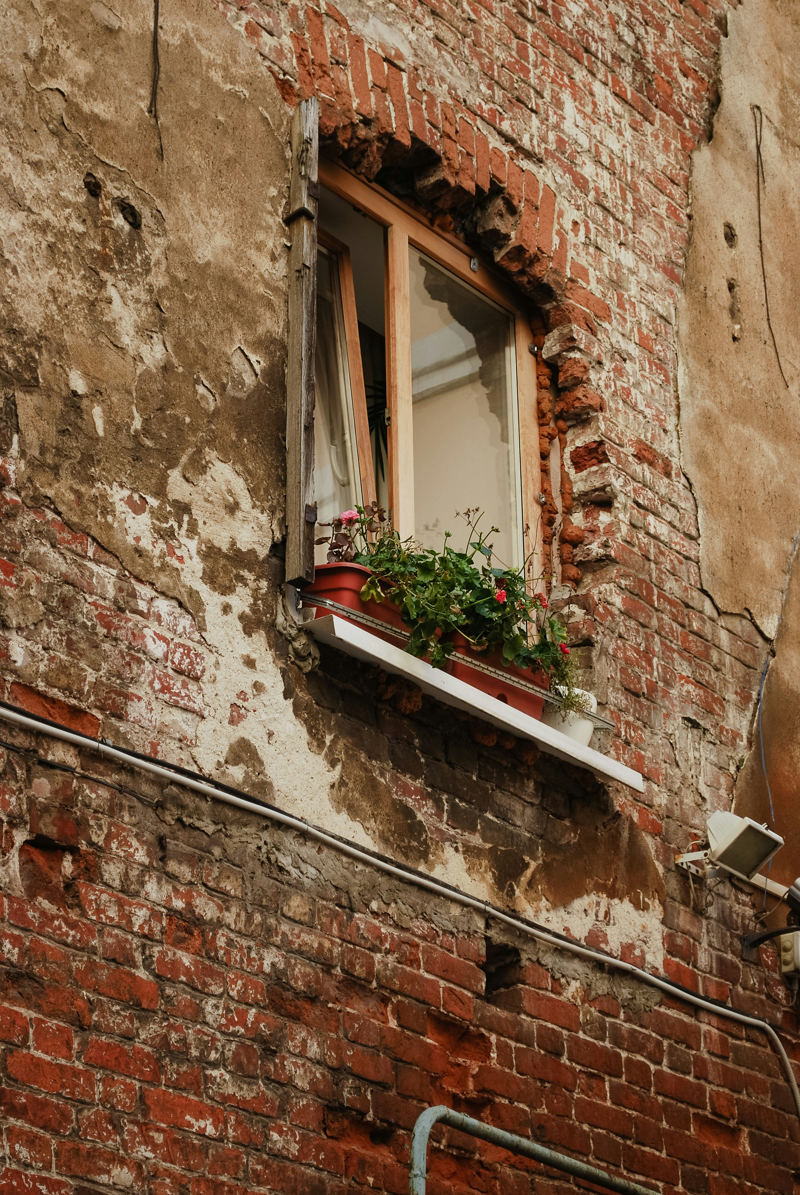 Photo by lapshinakseniia