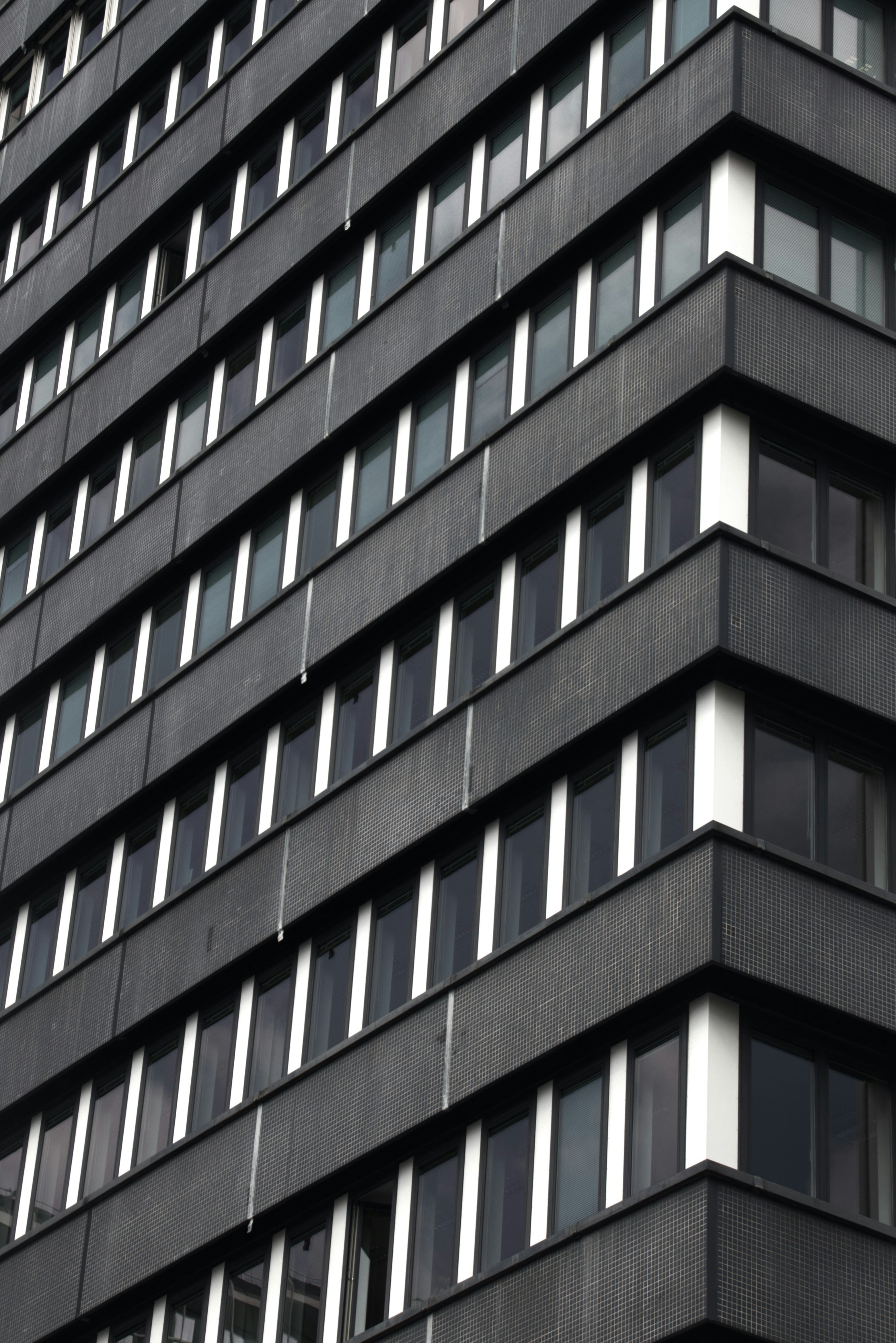 Photo by lorisoberlaender