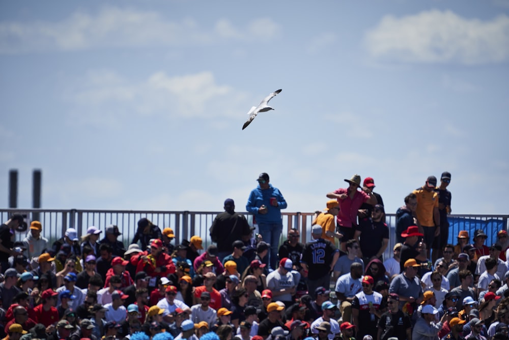 a group of people watching a bird fly through the air