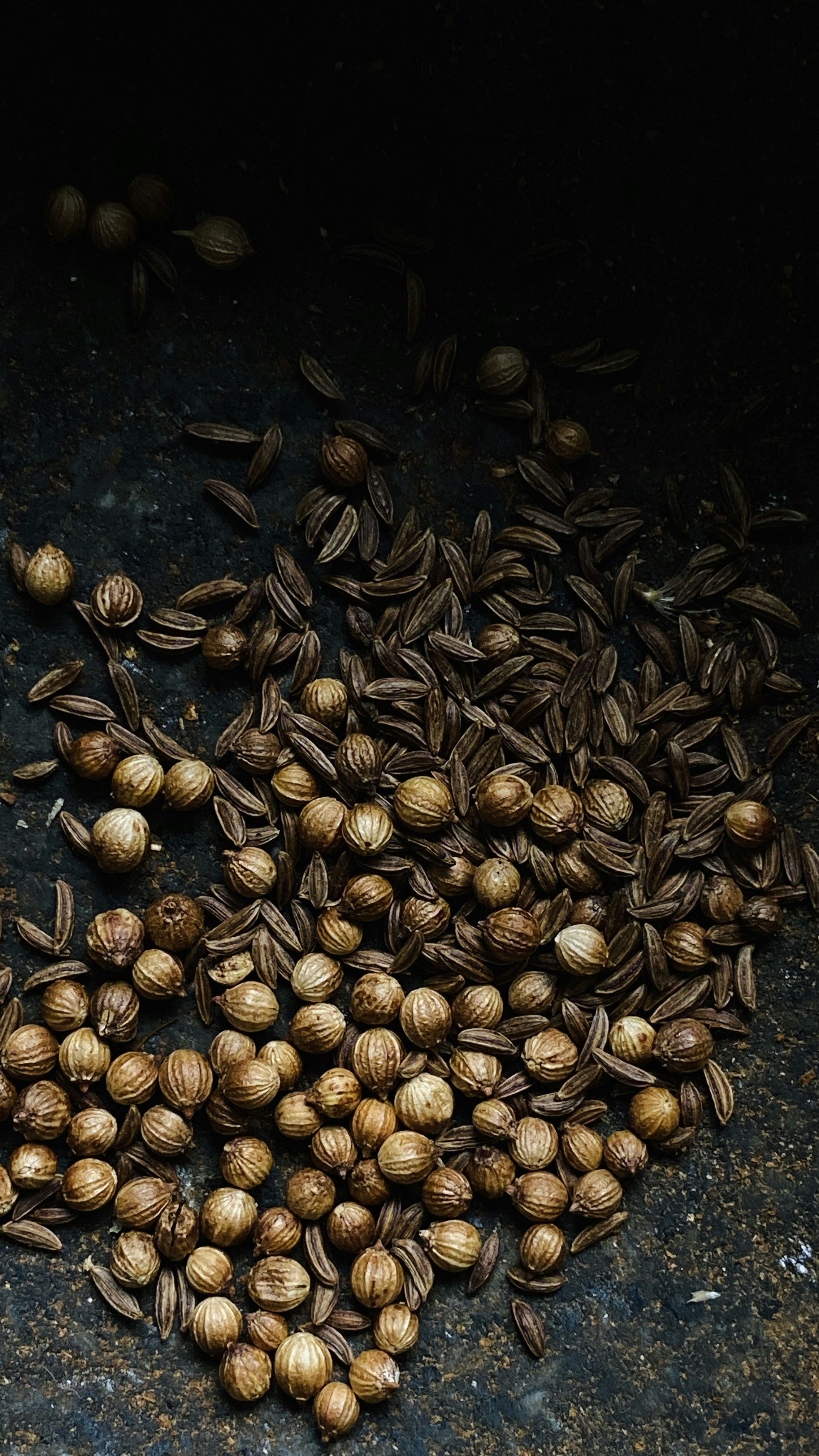 Discover Premium Coriander Seeds: AHB Global Trading in Dubai
