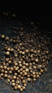 Bright coriander seeds neatly arranged on a woven mat, highlighting their texture.