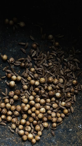 A collection of coriander and cumin seeds spread across a dark, textured surface. The coriander seeds appear round and beige, while the cumin seeds are elongated and slightly darker in color.