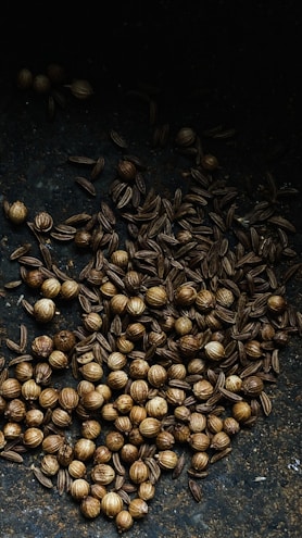A collection of coriander and cumin seeds spread across a dark, textured surface. The coriander seeds appear round and beige, while the cumin seeds are elongated and slightly darker in color.