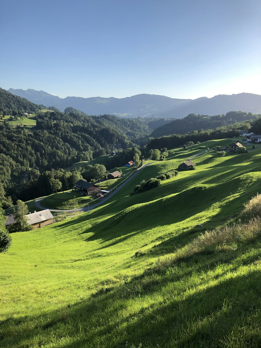 Une vallée herbeuse avec des maisons et des arbres