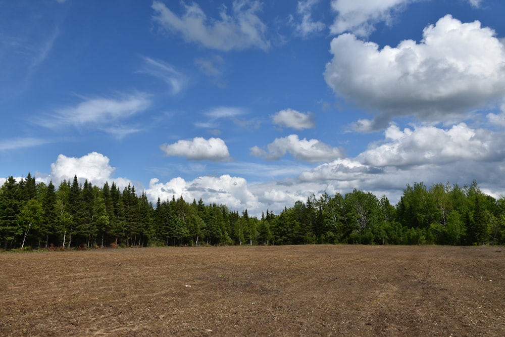 a field with trees in the background