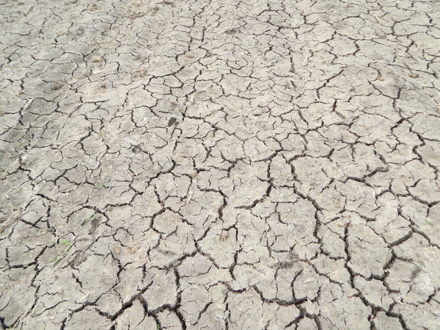 El Apartheid del Agua: Cómo la Crisis del Cutzamala Divide a la Sociedad en la CDMX