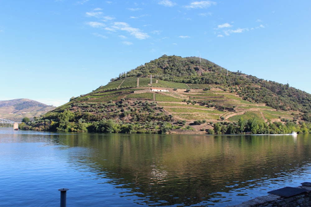 a hill with trees and water below