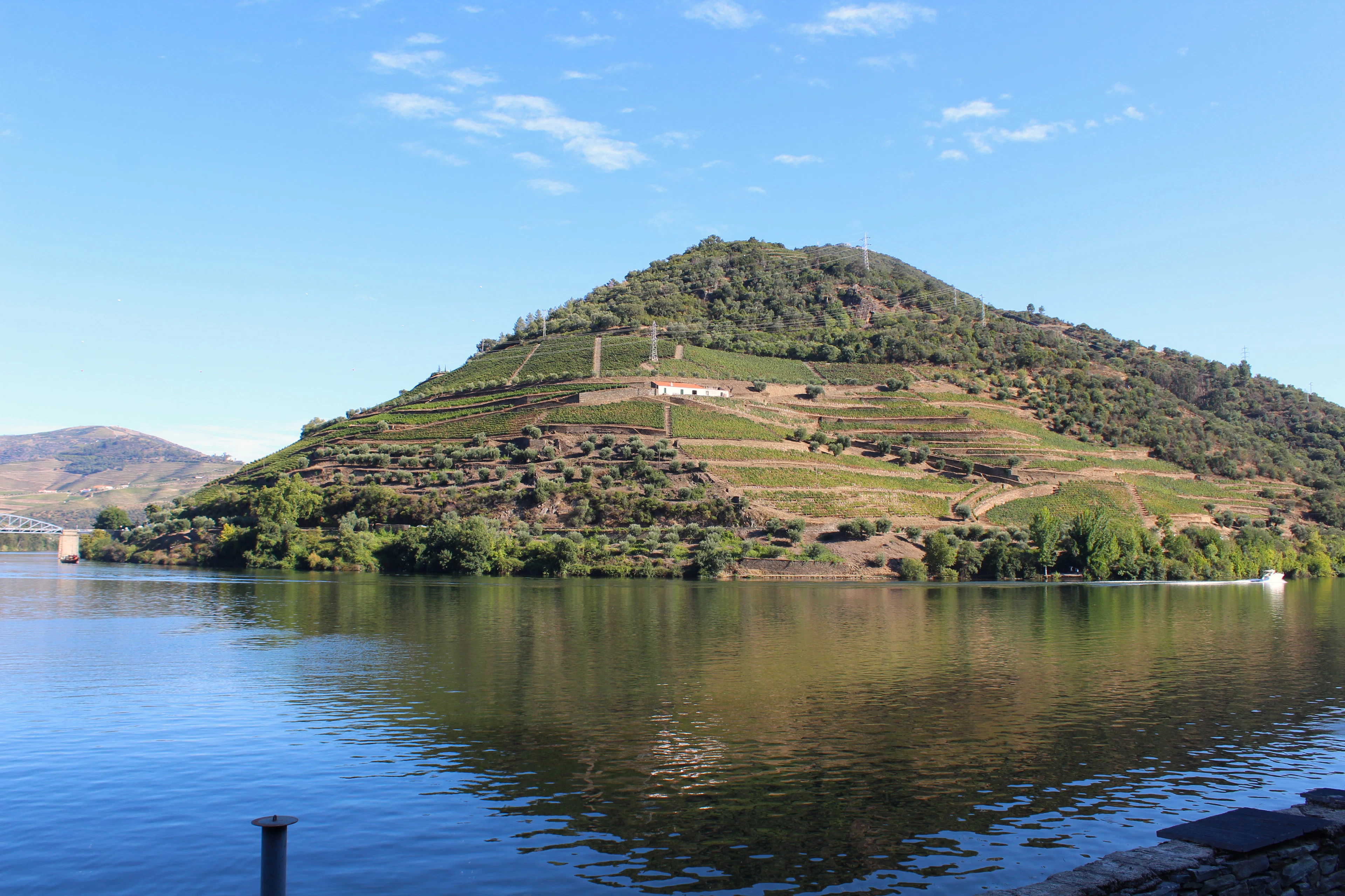 Vynuogynų terasos ant kalvų virš Douro upės prie Pinhão, Portugalijoje