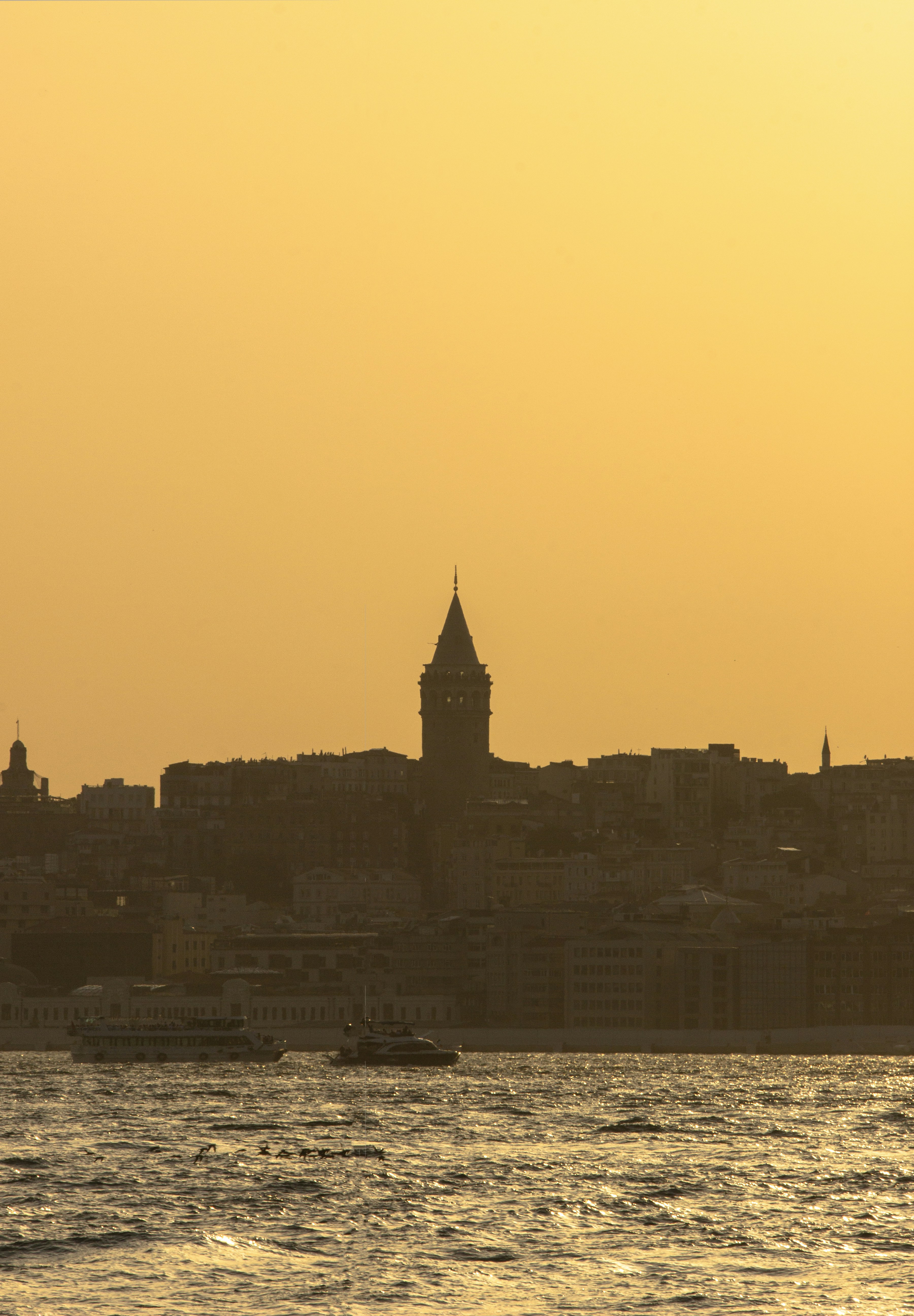 Photo by dentistozkanguner