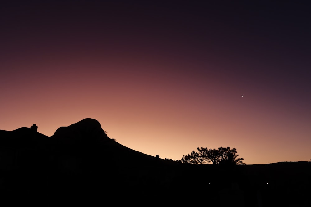 a silhouette of a tree and a mountain at night