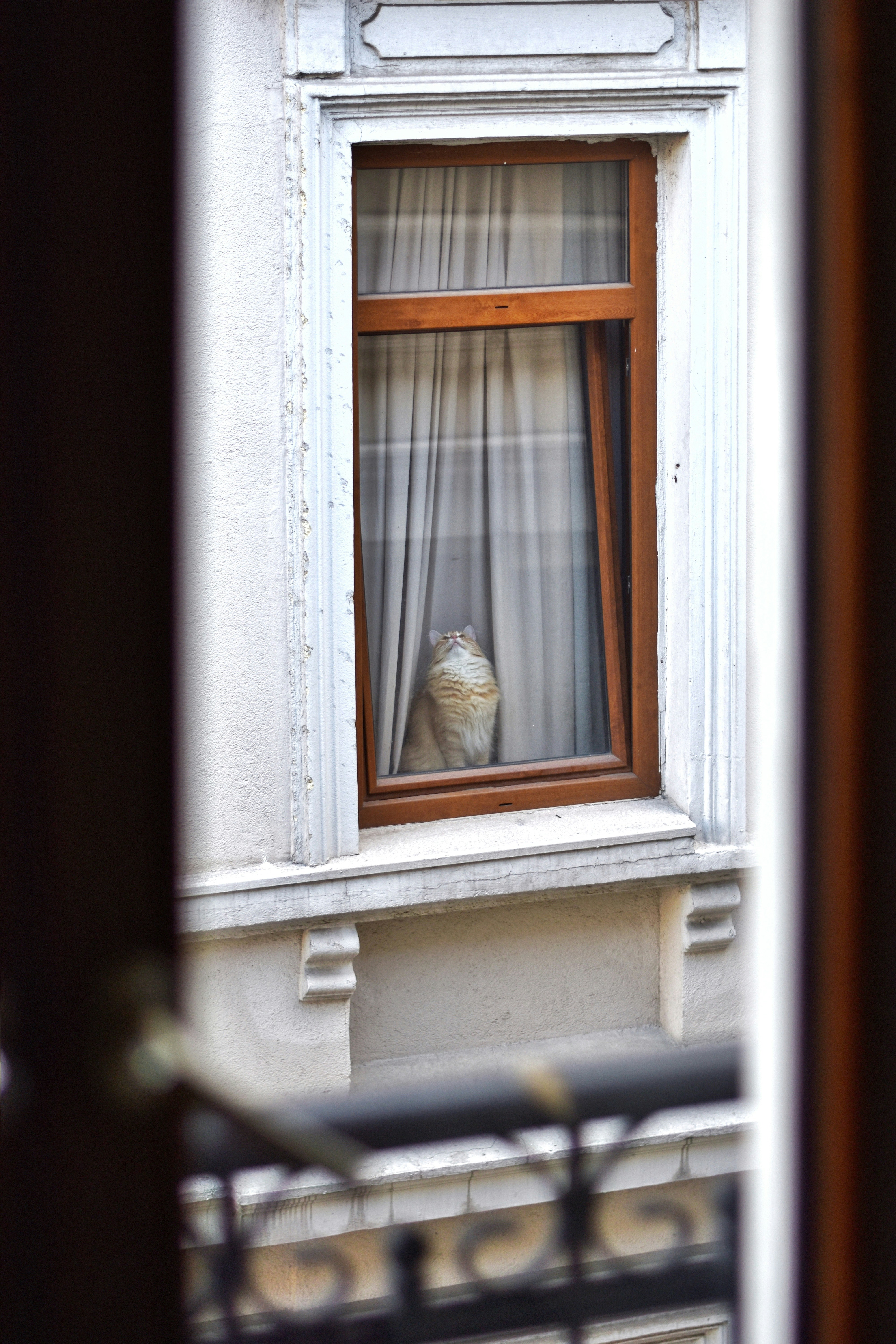 Photo by nasimkeshmiri