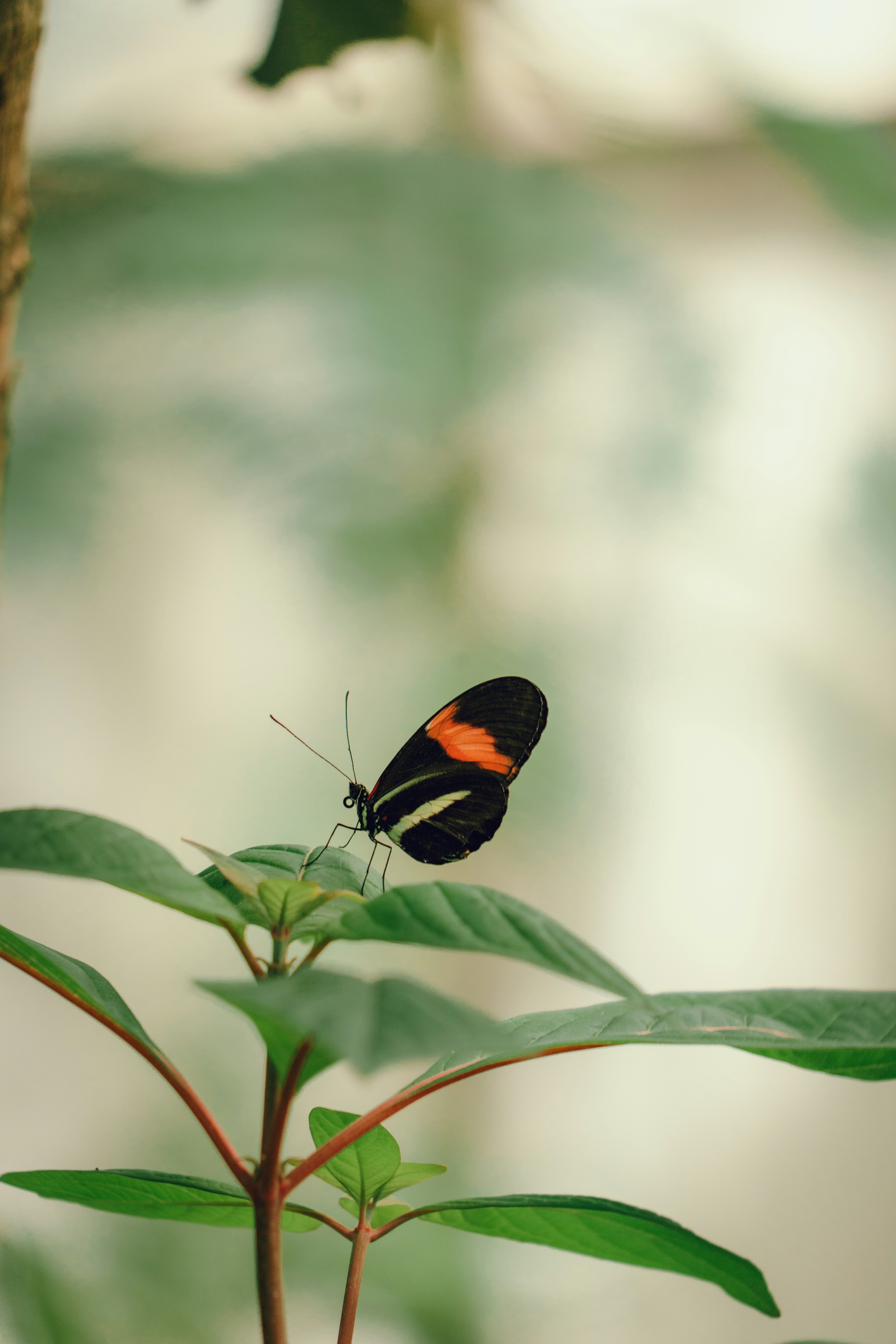 Photo by benaja_photos