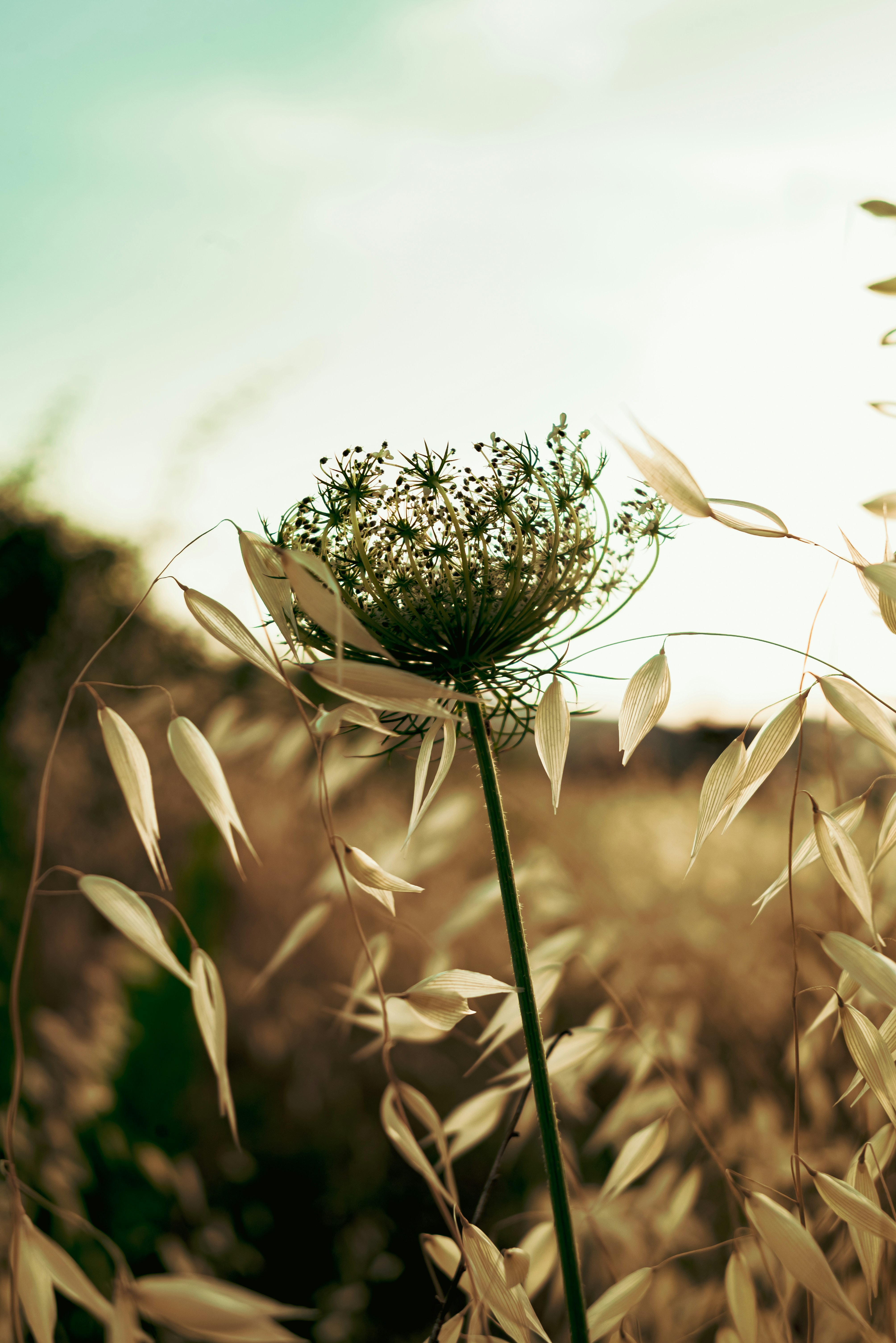 Photo by edrinspahiu