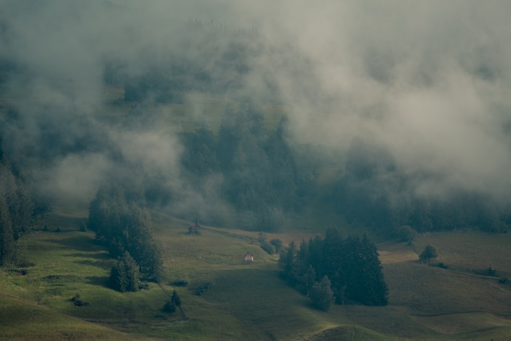 a landscape with trees and clouds