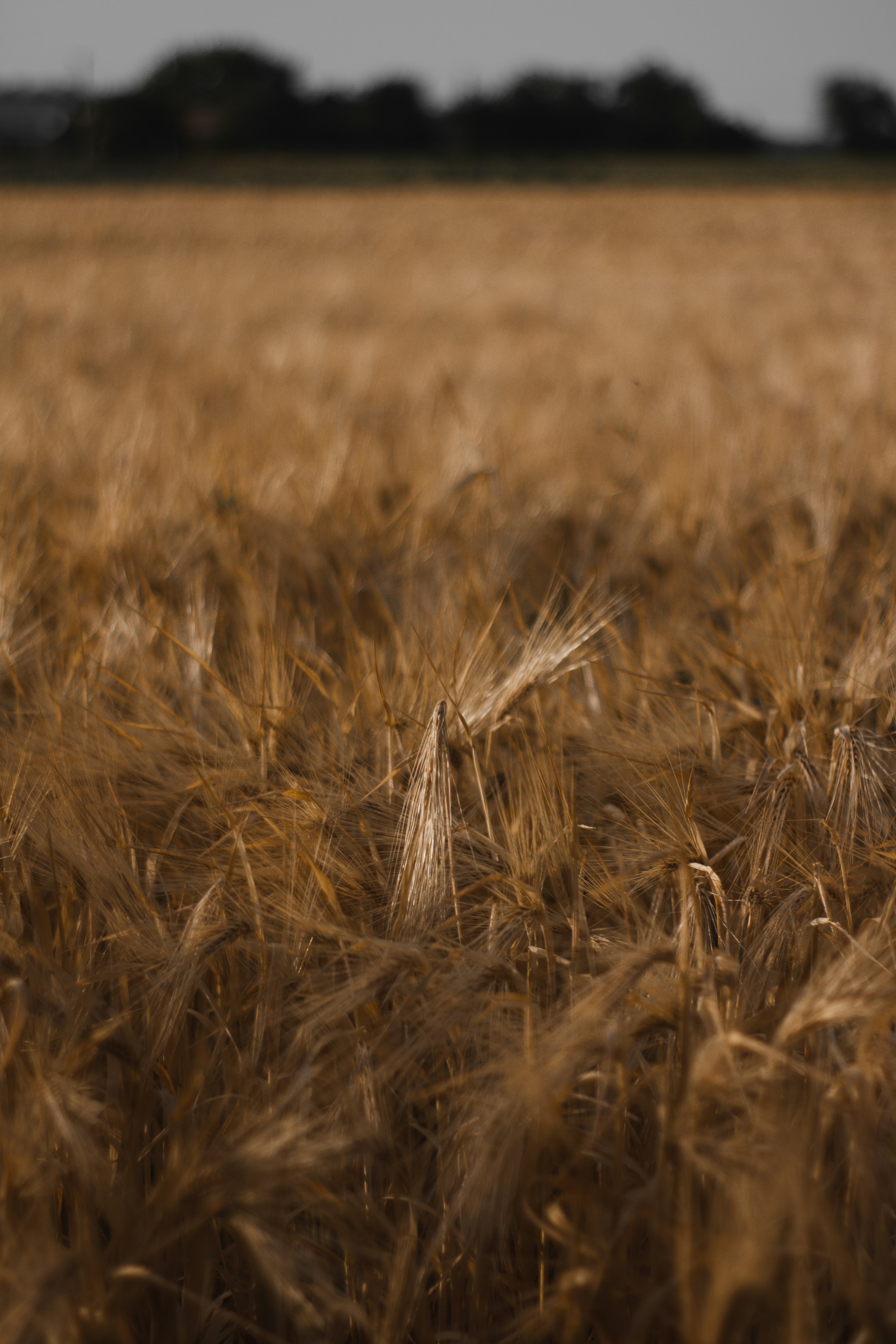 Photo by svitlana_rusak