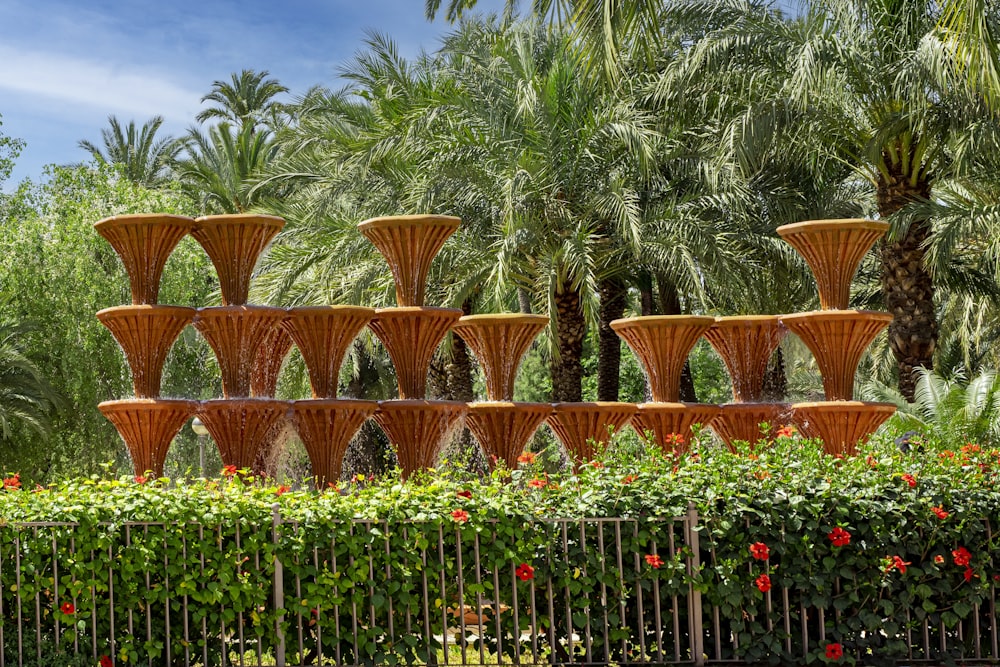 a garden with plants and flowers