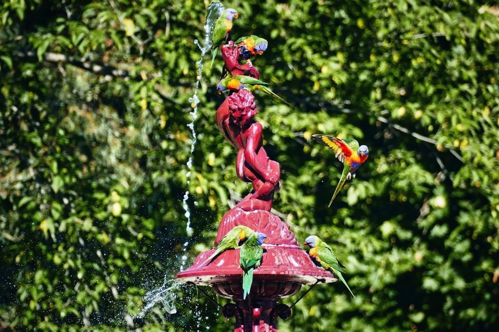 a bird feeder with a string of colorful birds