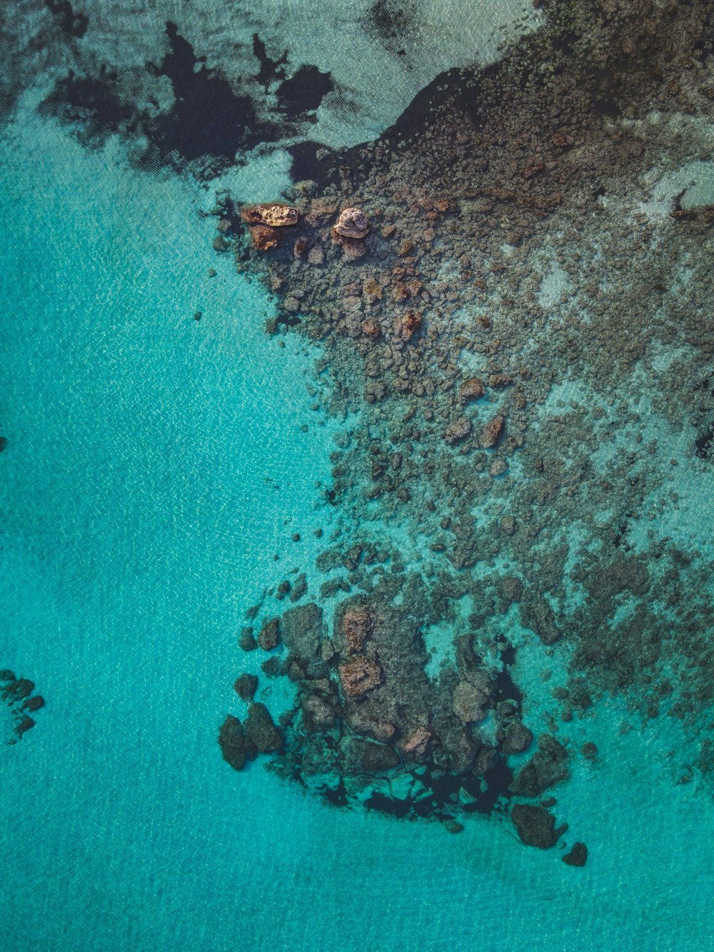 a close-up of a rock