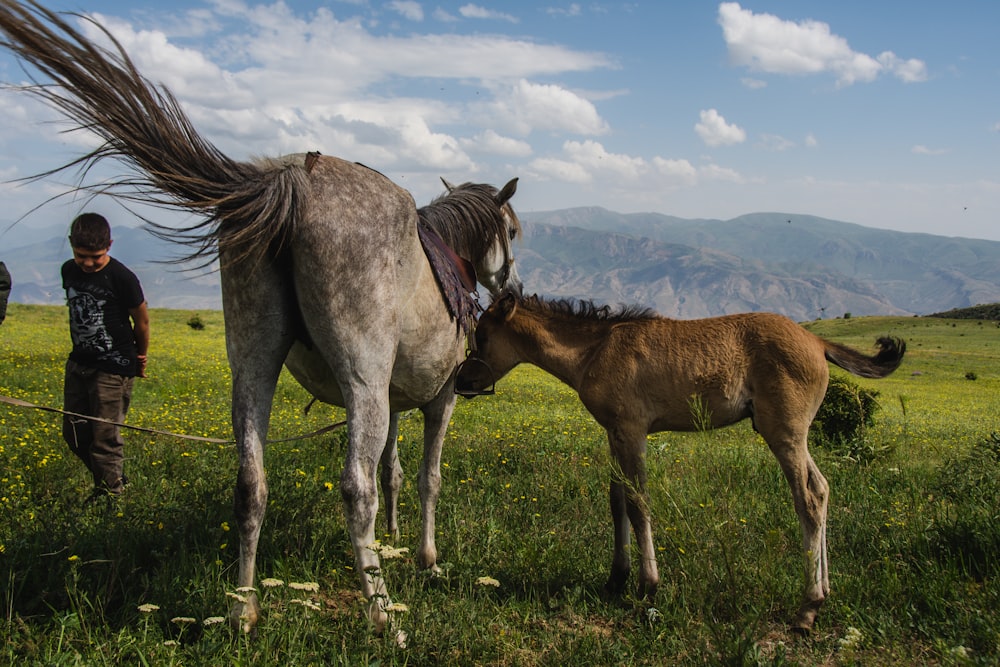 a person standing next to a horse