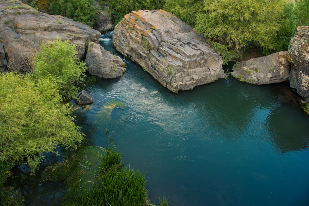 a body of water with rocks and plants around it