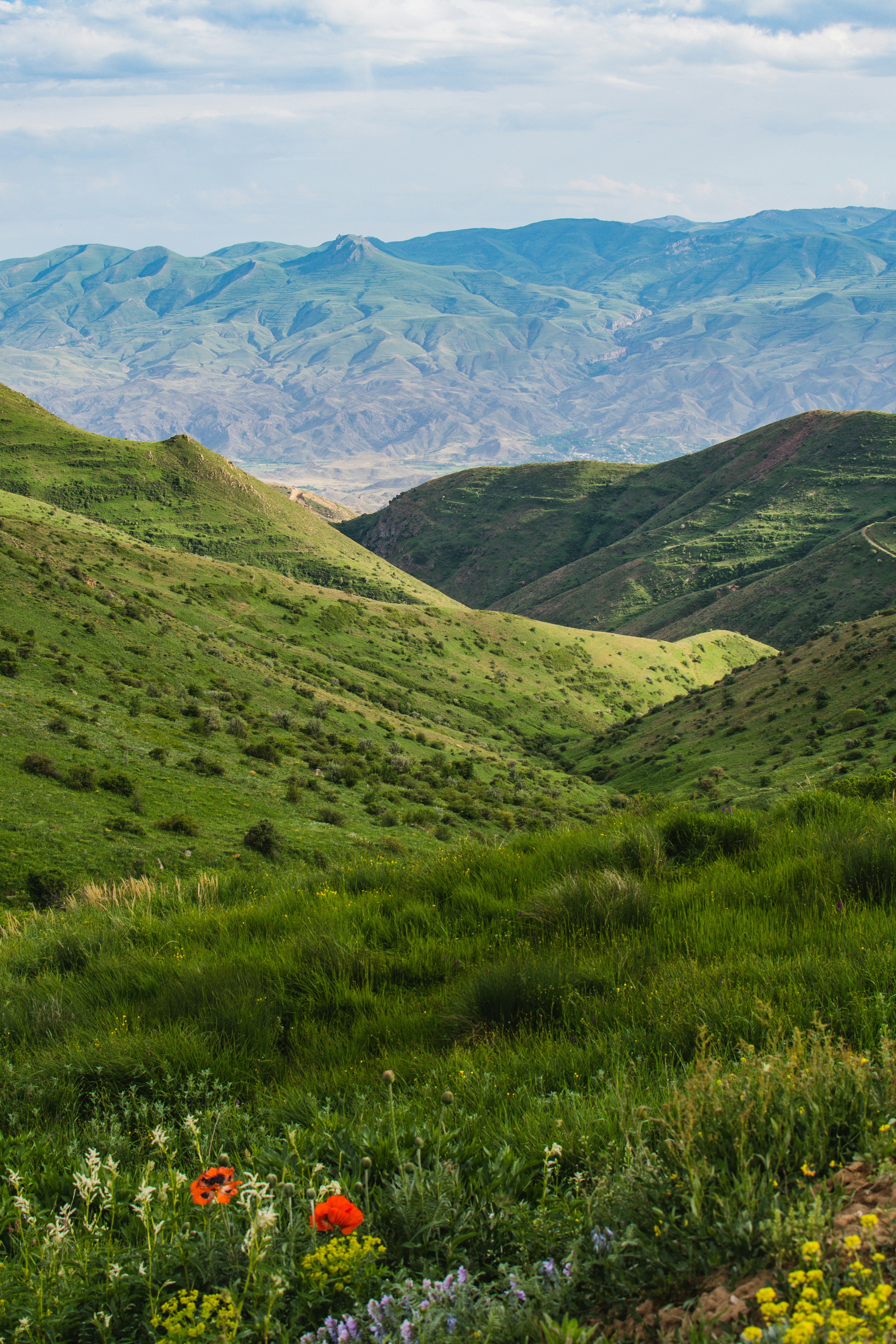 Photo by aniadigyozalyan