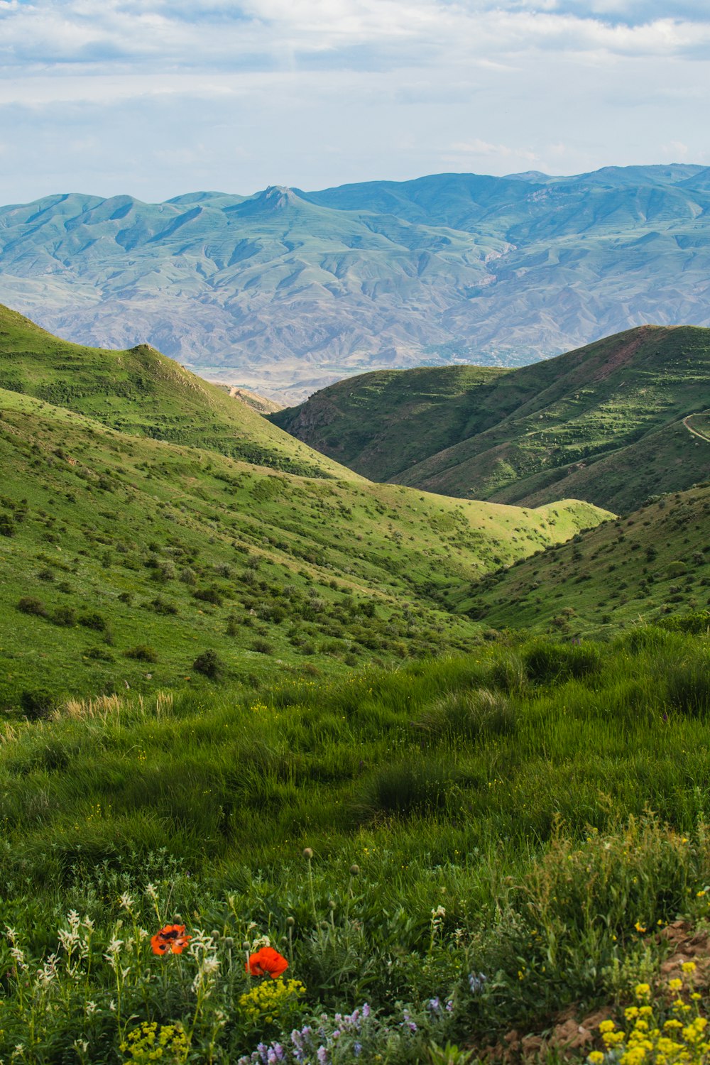 a grassy valley with mountains in the background